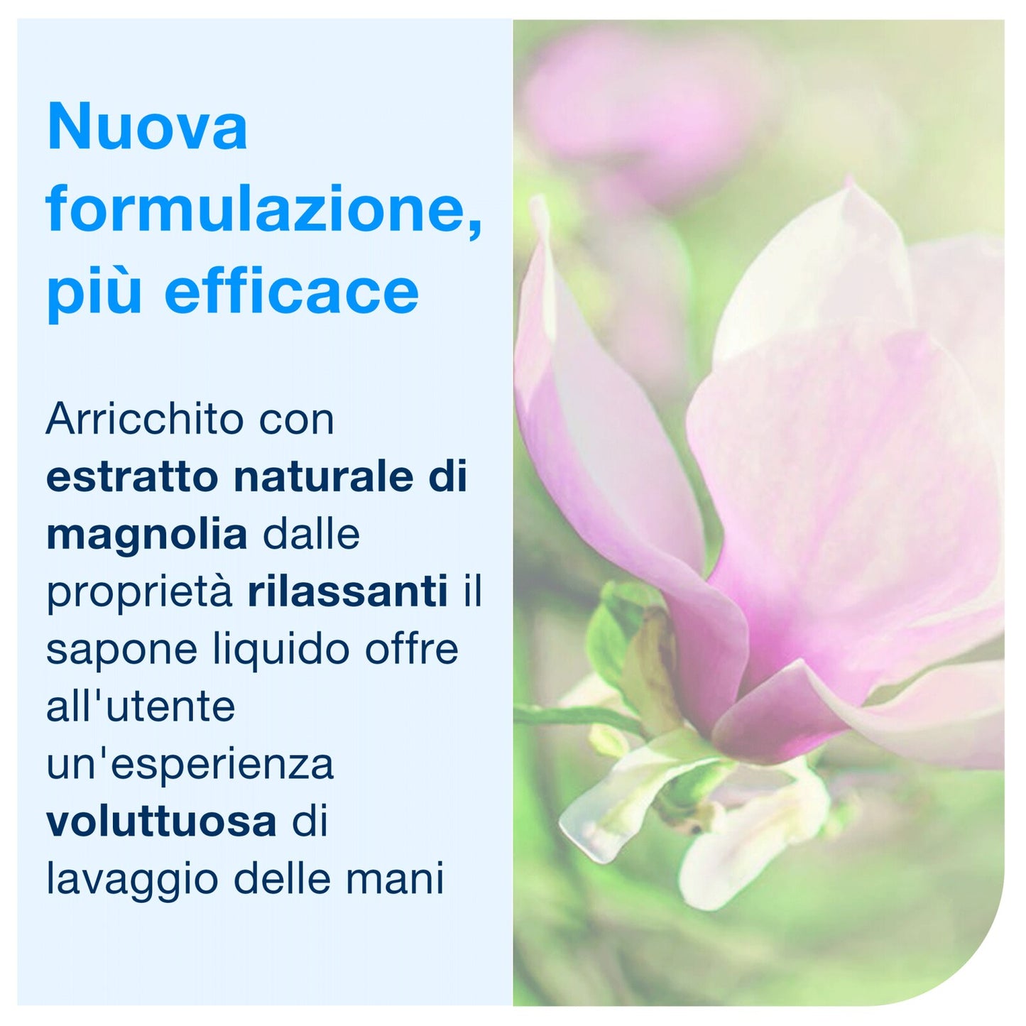 Tork Sapone liquido Luxury S1